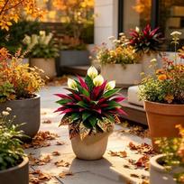 Uv Resistant Fall Artificial Dragon Blood Tree Lifelike Fade-Resistant Fake Foliage Plant Lush Leaves Real Touch 3pcs