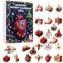 2026 Human Anatomy Advent Calendar Blind Box - 24 Organ Ornaments 1