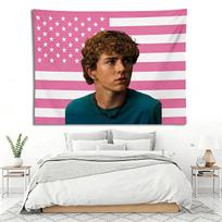 W-Walker Scobell Pink US Flag | Percy Jackson PJO Wall Tapestry | Cute Actor Aesthetic Dorm & Frat Room Decor 100X150CM