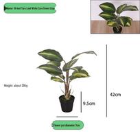 Dirbtinis Aspidistra vazoninis augalas vidaus/lauko dekoravimui gray