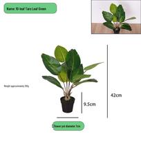 Dirbtinis Aspidistra vazoninis augalas vidaus/lauko dekoravimui gray