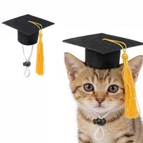 Adjustable Pet Graduation Photo Props & Dress-up Mini Hat for Cats & Hamsters 5.5cm x 5.5cm black