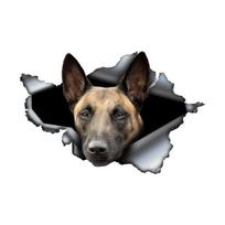 Belgijos Malinois 3D Break the Wall automobilio lipdukas, vandeniui atsparios vinilo medžiagos priedai, įdomūs automobiliams, sunkvežimiams, motociklams, sienoms 30cm-Longest Side