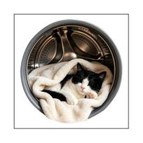 Cute Animal Laundry Room Decal Cat/Dog Sleeping Static Sticker Waterproof Washing Machine Door C black
