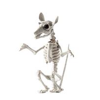 Helovino skeletas gyvūno dekoracija baisus katės/šuns/paukščio/žiurkės/ožkos galvos plastikiniai kaulai kiemui kapinių Helovino dekoras F