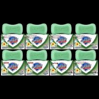 Safeguard Herbal Antibacterial Soap white