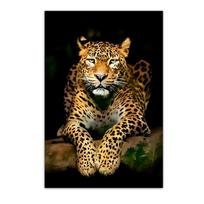 Pantera vaikščiojantys laukiniai gyvūnai Drobės paveikslai Leopardo plakatai ir spaudiniai Sienų paveikslas gyvenamajam kambariui Namų dekoras Cuadros be rėmelio 60*100cm