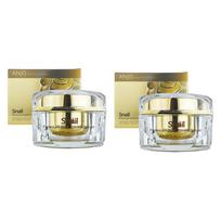 ANJO Snail Premium Cream Repair 50ml (3 Parinktys) #2PCS beige