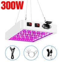 500W 300W LED Grow Light Viso spektro Augalai Lempos Šiltnamio palapinė Growbox Vidinis Gėlių Sėklos Daržovių Hidroponika Auginimas US plug