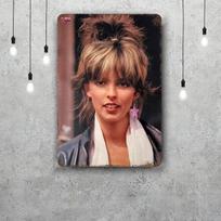 Nena Metaliniai ženklai sienų dekoras Vintažiniai skardos ženklai Kapitono metalinis plakatas Dekoracija Barui Pub'ui Klubui Sienų dekoracija 30x40cm(11.8x15.7inch)
