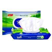 Tempo Aloe Flushable Wet Wipes green