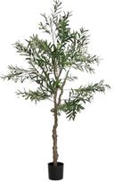Dirbtinis augalas vazone, alyvmedis Homla Basic Greenora, žalia sp., 180 cm