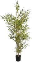 Dirbtinis augalas vazone, bambukas Homla Basic Greenora, žalia sp., 180 cm