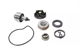 VANDENS SIURBLYS GILERA NEXUS 250 300 PIAGGIO VESPA RMS