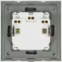 PNI WP222W paprastas x2 įmontuojamas lizdas su baltu stikliniu rėmeliu