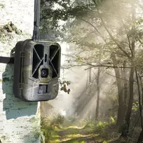 Medžioklės kamera PNI Hunting 550C Internet 4G LTE, tiesioginė prieiga ir pranešimai per „Tuya“ programėlę, įkraunama baterija 8000 mAh komplekte
