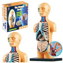 Lavinamasis anatominis žmogaus kūno ir organų modelis Lean Toys 24736