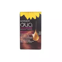 Garnier Olia Permanent Coloring 5.3 Cappuccino