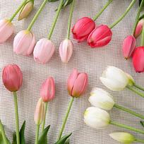 Rankų kremo ir tulpių vazos rinkinys,  White - 39CM simulated mini tulips 5 branches. BH003 pumpkin glass combination
