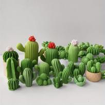 Silikoniniai kaktusų žvakių formelės rankdarbiams, Succulent H-0562