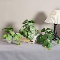 Dirbtinis bonsas kompiuterio stalui, 3 Pots Of Artificial Plant Potted Plants Combination-A Group Color 241195ZH3