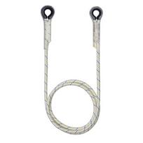 Protekt Lp100 Tt tvirtinimo lynas, 10 m