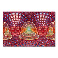 Alex Grey Psichodeliškas Trippy Medis Gyvybė Moduliniai Paveikslai Moderni Namų Dekoracija Sienos Menas Drobės Spaudiniai Tapyba Miegamojo Plakatas 70X100CM No Framed
