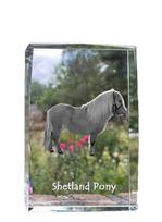 Shetland Pony - crystal with a picture of a horse, photo in glass, modern exhibition of Art-Dog brand photo skaidri