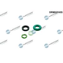 Purkštuko tarpinių rinkinys Dr.Motor Automotive DRM03745S
