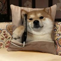 Shiba Inu Cute Pillow Case Pillowcase, Double-sided Printed, Sofa Cushion, Bedroom Headboard Pillow 50x50cm