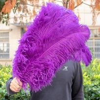 10 vnt. Raudonos stručio plunksnos didmeninė prekyba 15-60 cm Natūralios plunksnos rankdarbiams, vestuvių vakarėliams, stalo puošybai, karnavalui Plumas 15-20CM 6-8INCH
