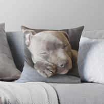 Gorgeous sleeping blue staffy puppy Throw Pillow Couch Pillows Rectangular Cushion CoverChocolate, 60x60cm