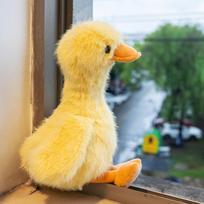 Children Simulation Yellow Duck Stuffed Animals Sleeping Long Hair Duck Plushies Cartoon Lifelike Goose Duck Stuffed