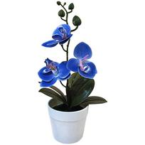 Phalaenopsis Orchid 3D Orchid Bonsai Non-fading Material mėlyna