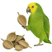 Buddha Nut Xl - Toy For Large And Small Parrots