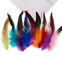 10-15cm Rooster Feather Soft Cock Feather Handmade Fluffy Plumes  For DIY Craft įvairiaspalvis