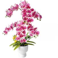 54 Head Faux Phalaenopsis Orchid Plant Pink White Purple Yellow Artificial Flower Bonsai In White Pot For Home Garden Office Dec