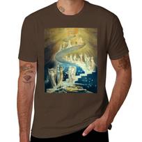 William Blake Jacob's Ladder T-Shirt Aesthetic clothing Blouse aesthetic clothes t shirts for men graphic M