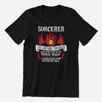 Dungeons and Dragons Sorcerer T-Shirt 130 gray