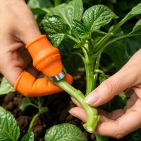 6 Pack Silicone Garden Finger Gathering Tool,1 Ergonomic Gathering Thumb Cover +5 Non Slip Finger Sleeves, Reusable Nail Guard for Pepper Garlic Large oranžinė