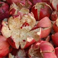 Saara HERBAL FRESH Pomegranate Peel Powder, 50g, Madhulai, Anardana Powder For Face, Skin & Hair, Anar Chilka Powder, 50g, (pack of 1 x 50g)…