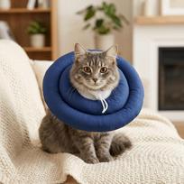 Lightweight Recovery Cone Waterproof Anti-Lick Shield Portable Neck Guard  Anti Bite M