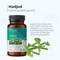 Merlion Naturals Hadjod Tablets, Cissus quadrangularis, 500mg (120 Tablets)