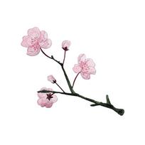 Rankų darbo drabužių aplikacijos užlyginamos drabužių lipdukai begonijos gėlės siuvinėjimo lopai siuvimas pink-Style B