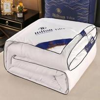 HILTON 5 žvaigždučių viešbučio žąsų pūkų antklodė keturiems sezonams žieminė antklodė šilta dvigulės lovos antklodė pledas oro kondicionieriaus antklodės 150x200cm 1.5kg