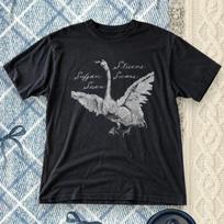 Sufjan Stevens Seven Swans Grafinis Marškinėlis Juodas Unisex L gray