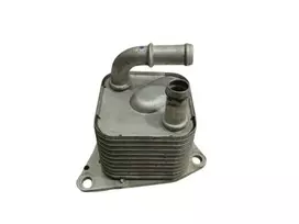 Volvo XC40 536 2019 Važiuoklės Aukštųjų Temperatūrų Aušinimo Blokas Originalus 31492394