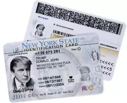 2 x netikras asmens tapatybės dokumentas donald trump juokingas netikras pokštas prekės id netikras jav vairuotojo pažymėjimas gimtadieniui kaip juokinga dovana (2)
