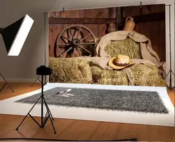Renaiss 2.5 x 1.8 m vinilo fotografijos fonas vakarietiška kaubojaus skrybėlė šieno šiaudų ratas fonas senas tvartas vaikų suaugusiųjų portretų fotografavimo dekoravimo fonas vaizdo nuotraukų studijos rekvizitai