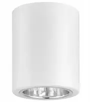 Luxera Paviršinis lubinis šviestuvas Tuba E27 Led Superled
